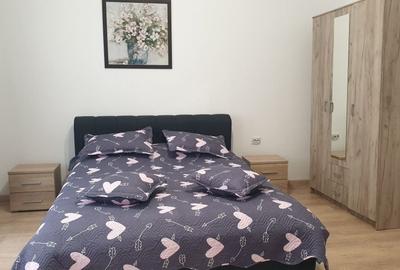 Casă cu 2 camere în Dosu Bricii - 7