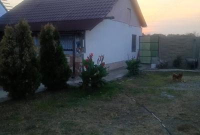 Casă cu 2 camere cu Teren 1480 Mp în Central