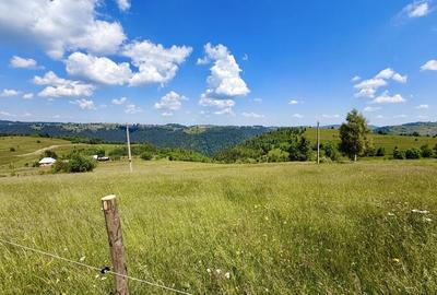 Teren de 10000 mp, în Măguri