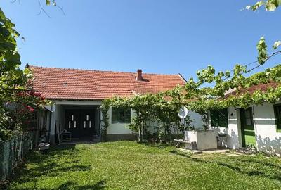 Casă cu 3 camere cu Teren 650 Mp în Visag - 4