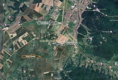Teren Construcții extravilan de 29300 mp, în Pănicel - 4