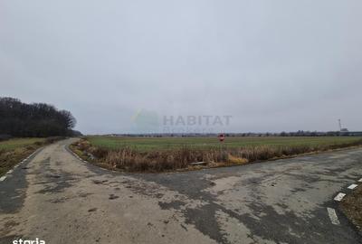 Teren de 8569 mp, în Ciolpani - 6
