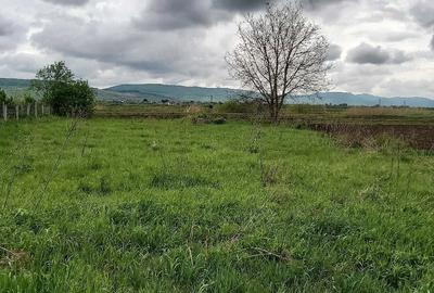 Casă cu Teren 1400 Mp în Coasta - 3