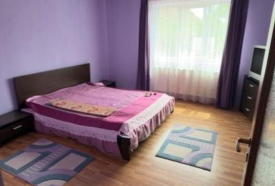Casă cu 3 camere cu Teren 2200 Mp în Micula - 3