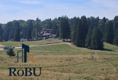 Teren Construcții intravilan de 11500 mp, în Drumul Poienii - 1