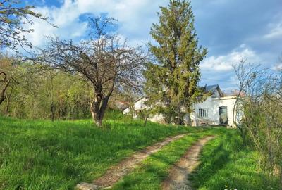 Casă cu 5 camere cu Teren 5950 Mp în Nord