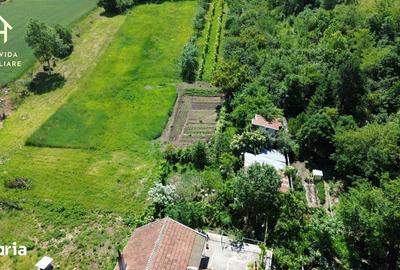 Casă cu 4 camere cu Teren 2742 Mp în Boldur - 7