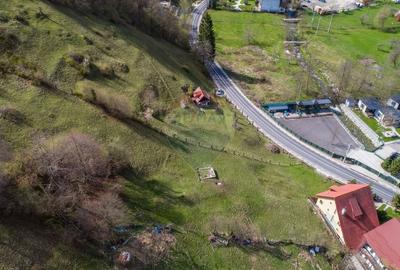 Teren Construcții intravilan de 5735 mp, în Moieciu - 5
