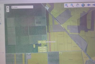 Teren de 10000 mp, în Mihail Kogălniceanu - 1