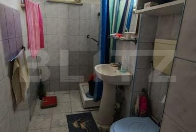 Apartament cu 2 camere semidecomandat în Decebal - 8