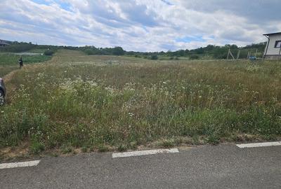 Teren de 500 mp, în Crișeni
