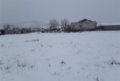 Teren de 7800 mp, în Central - 3