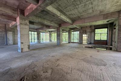 Spațiu comercial, de 1,100 mp, în Floreasca - 5