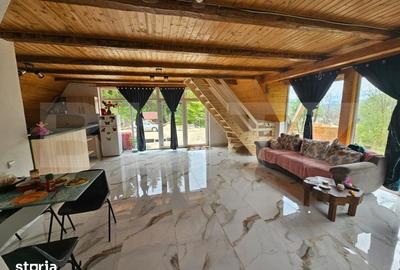 Casă cu 4 camere cu Teren 4565 Mp în Avram Iancu - 10
