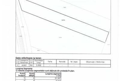 Teren de 5000 mp, în Horia - 1