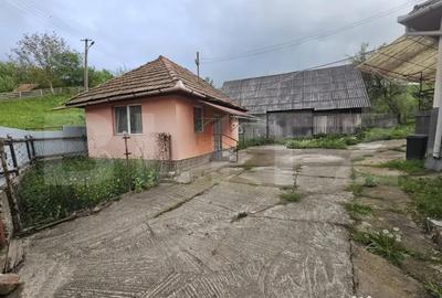 Casă cu 3 camere cu Teren 4313 Mp în Central - 5