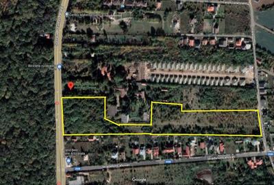 Teren Construcții intravilan de 33653 mp, în Săftica - 4