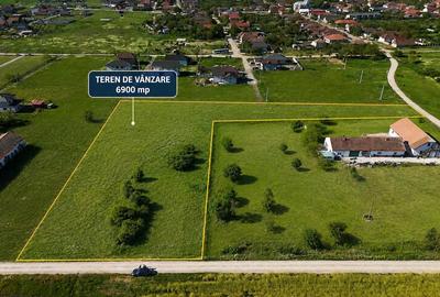 Teren de 6900 mp, în Livada - 2