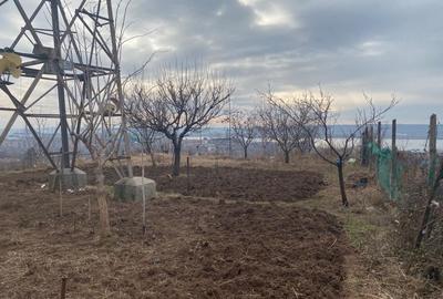 Casă cu 2 camere în Schela - 7