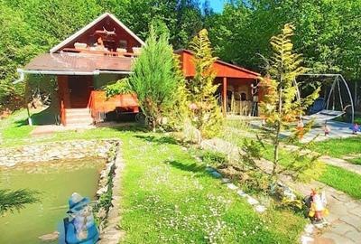 Casă cu 4 camere în Vălișoara - 8