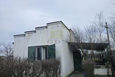 Casă cu 4 camere cu Teren 1250 Mp în Malu Mare - 14