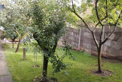Teren de 351 mp, în Gruia