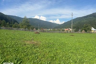 Teren de 7100 mp, în Grințieș - 5