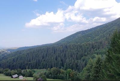 Teren de 17514 mp, în Bran