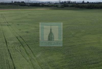Teren Construcții intravilan de 50000 mp, în Hălchiu - 11