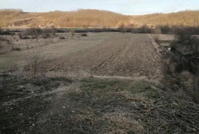 Teren de 7000 mp, în Bulzești
