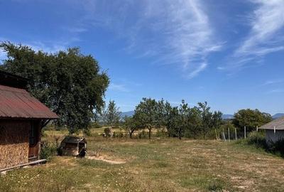 Teren de 4837 mp, în Săcălășeni