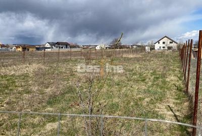 Teren Construcții intravilan de 900 mp, în Dumbrava Roșie - 11