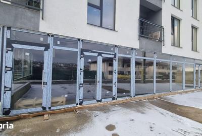 Spațiu comercial, de 300 mp, în Ciurea - 5