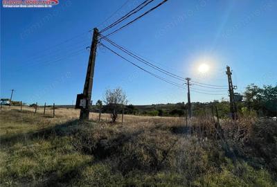 Teren de 1438 mp, în Nufăru - 3