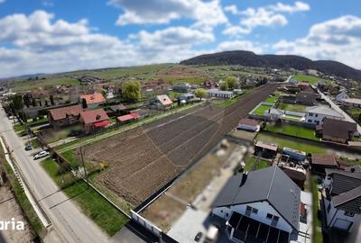 Teren de 10262 mp, în Albești - 3