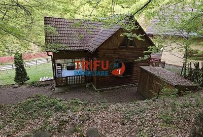 Casă cu 4 camere cu Teren 891 Mp în Ighiu - 11