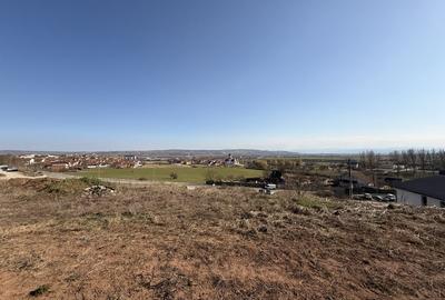 Teren Construcții intravilan de 5600 mp, în Cetate - 1