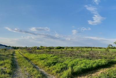 Teren Construcții intravilan de 670 mp, în Corbeanca - 5
