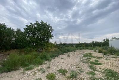 Teren de 100000 mp, în Central - 1