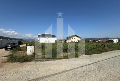 Teren Construcții intravilan de 5000 mp, în Micești - 1