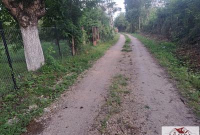 Teren Construcții intravilan de 2400 mp, în Benic - 2