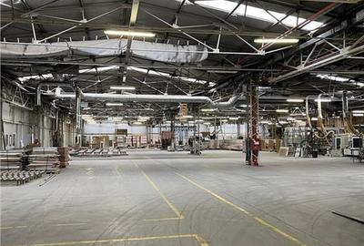 Spațiu industrial, de 16,000 mp, în Vest - 4