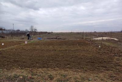 Teren de 5000 mp, în Corbii Mari - 3