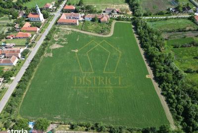 Teren de 16716 mp, în Traian Vuia - 1