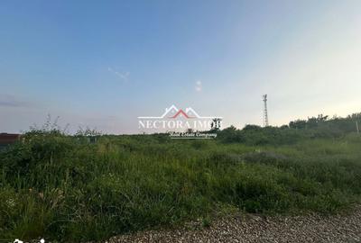 Teren de 500 mp, în Paleu - 2