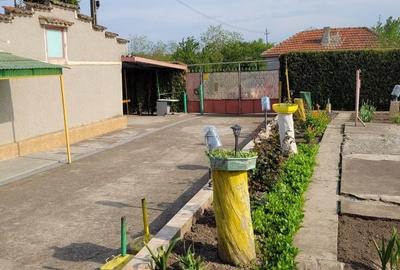 Casă cu 4 camere în Comana - 3