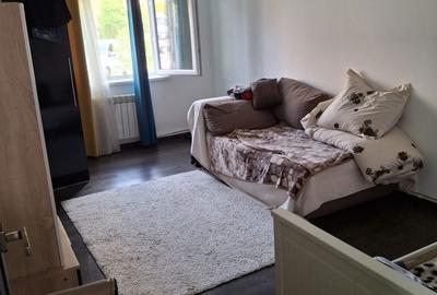 Apartament cu 2 camere în Paltin - 3