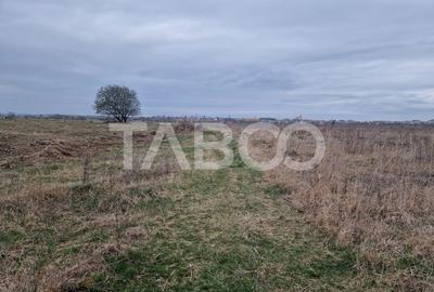 Teren agricol intravilan de 1500 mp, în Ștrand - 3