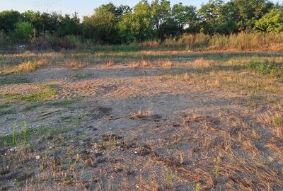 Teren de 5000 mp, în Poienarii Burchii - 2