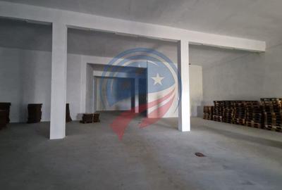 Spațiu industrial, de 250 mp, în Podari